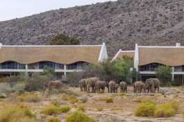 Gondwana Family Lodge, Sanbona game reserve 