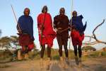 Maasai warriors 