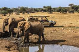 Porini amboseli waterhole 