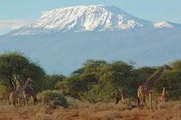 Kili game 