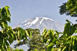 Mount Kilimanjaro, Tanzania 