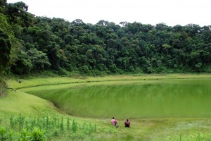 Madagascar Safari to Amber Mountain National Park by Maurits Vermeulen