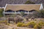 Elephants by Gondwana lodge in Sanbona Wildlife Reserve 