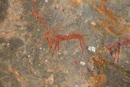 San Rock Art at Sanbona Wildlife Reserve 