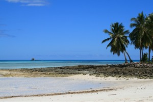 Nosy Be Island Madagascar by Olivier Capel