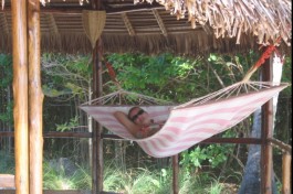 Nosy Be hammock image 
