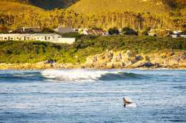 Whale Route Western Cape  