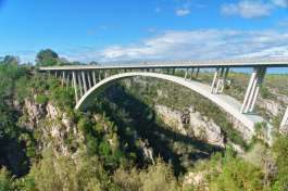 Bungee Jumping Bridge Garden Route 