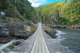 Suspension Bridge in Tsitsikama National Park 