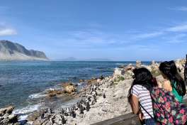 Stony Point Penguins Visit 