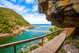 Tsitsikama National Park Suspension Bridge 