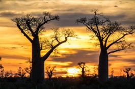 Madagascar Tour scenery  by Daniel De Lapelin Dumont