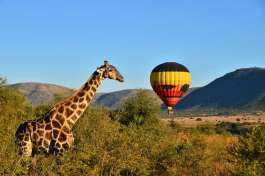 Hot air balloon ride, Pilanesberg 