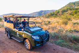 Pilanesberg safari drive 
