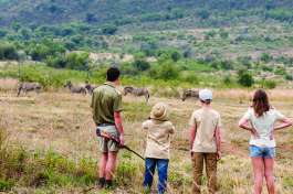 Bakubung pilanesberg safari walk 