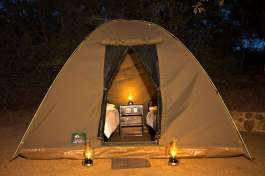 Camping Tent In Pretoriuskop Kruger National Park 
