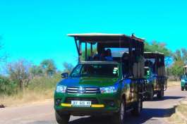Game Drive Vehicles in Kruger National Park 