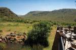 Zebra at Lodge Waterhole