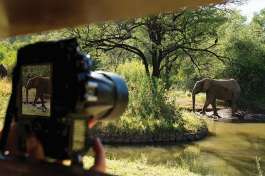 Viewing Elephants from the Kwa Maritane Hide 