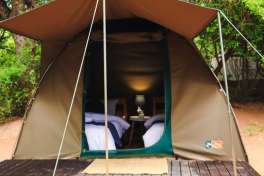 Safari Camp Tents in Kruger 