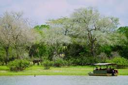 Rufiji River in Nyerere National Park  