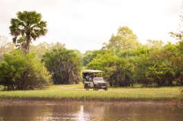 Game Drive in Nyerere National Park 