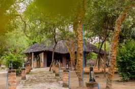 Safari Accommodation 