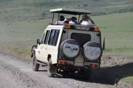 Game Drive Vehicle 