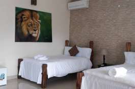 Safari Accommodation 