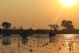 Okavango makoro 5 
