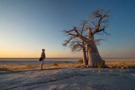 Botswana kubu island  by Bruce Taylor