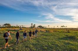 Botswana okavango walk  by Bruce Taylor