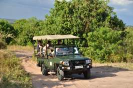 Game Drive In Chobe 