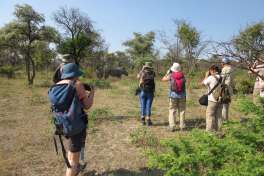 Zimbabwe Matobo rhino walk 