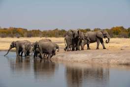 Zimbabwe Hwange National Park 