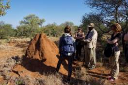 Greater Kruger Bush Walk 