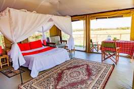 Zebra plains camp 