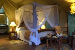 Serengeti Accommodation 