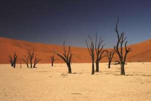 Deadvlei Namibia