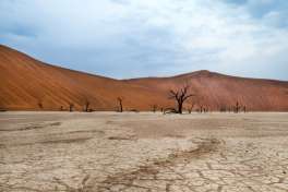 Deadvlei, Namibia 