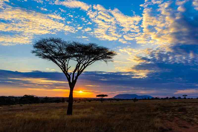 Serengeti sunset