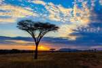 Serengeti sunset