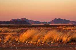 Sossusvlei, Namibia 