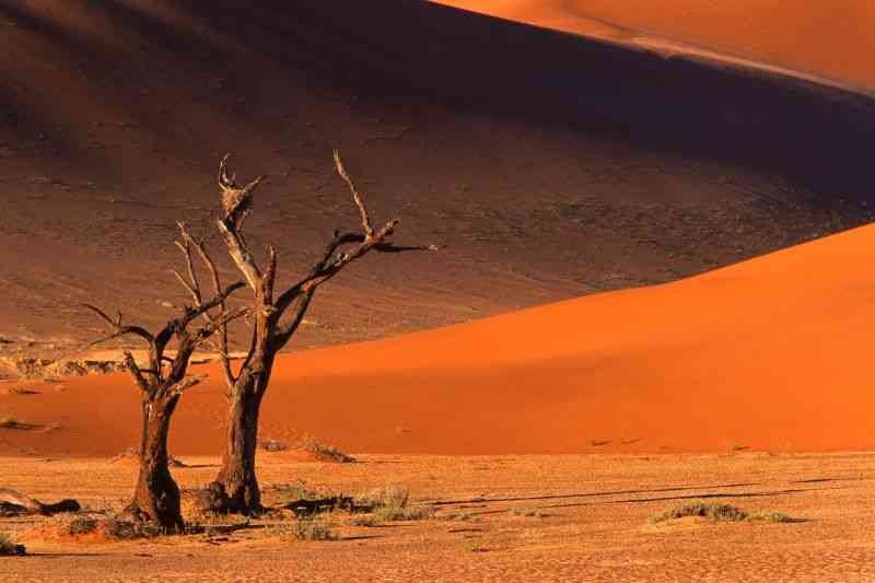 Deadvlei, Namibia