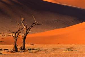 Deadvlei, Namibia