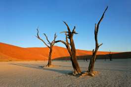 Deadvlei Namibia 