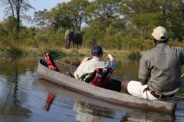 Mokoro trip in Delta 