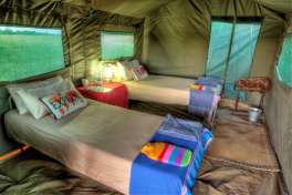 Tent Interior 