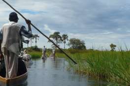 Mokoro in the Okavango Delta Botswana 