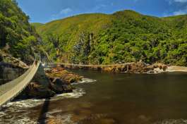 Tsitsikama National Park 